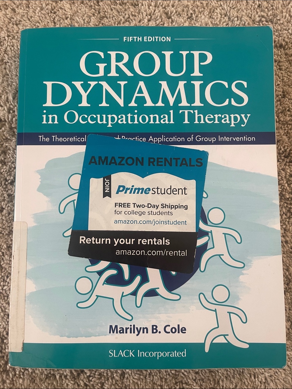 Group dynamics in occupational therapy textbook